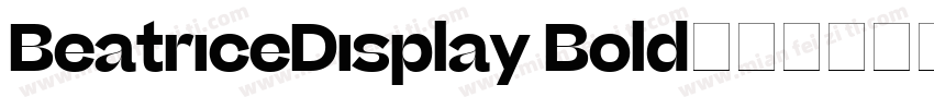 BeatriceDisplay Bold字体转换